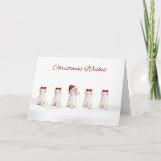 Winter Westies in a Row Christmas Card