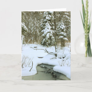 Winter Wetland Holiday Card