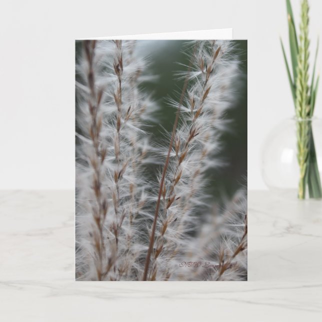 Winter Wheat Card (Front)