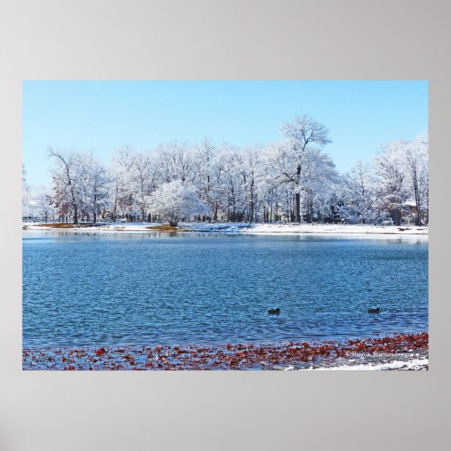 "WINTER WHITE" OLANDER PARK AND LAKE/SNOW-COVERED POSTER (Front)