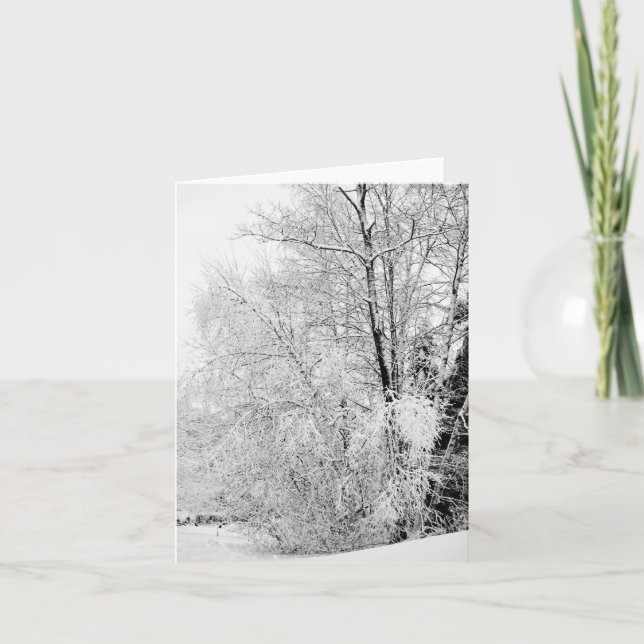 Winter Whites Card (Front)