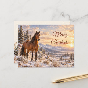 Winter Wild Horse Christmas Snow Holiday Postcard