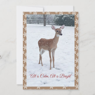 Winter Wildlife Fawn Snow Scene Holiday Card