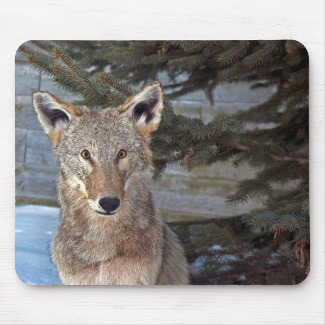 Winter Wildlife Mouse Pad (Front)