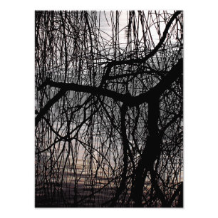 WINTER WILLOW TREE PHOTO PRINT