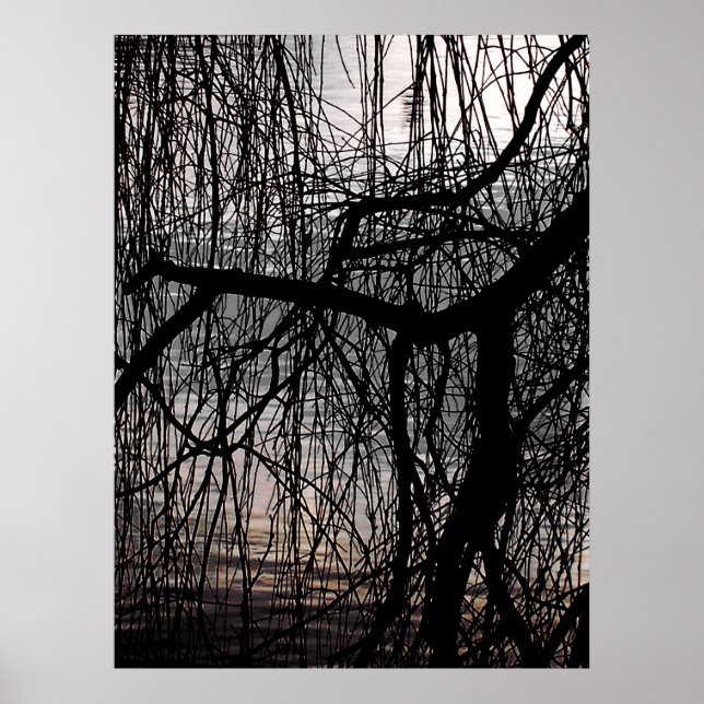 WINTER WILLOW TREE POSTER (Front)
