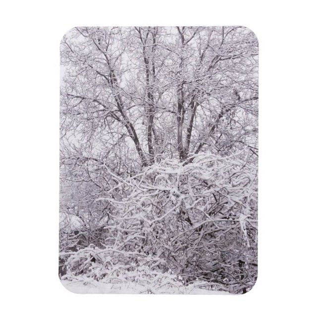 Winter with Snow Landscape Magnet (Vertical)