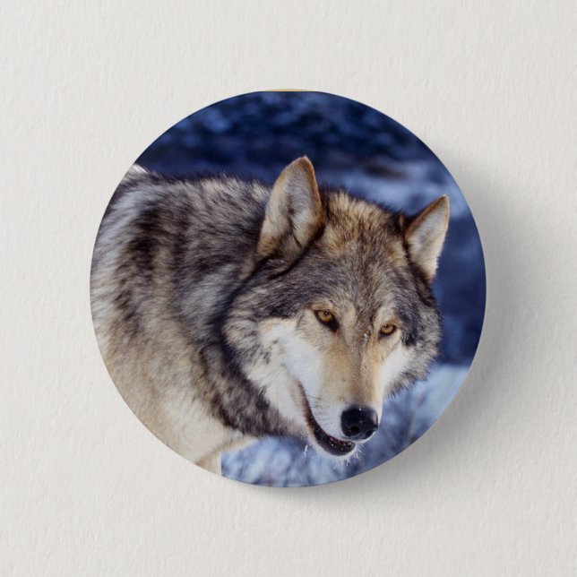 Winter Wolf 2 Inch Round Button (Front)