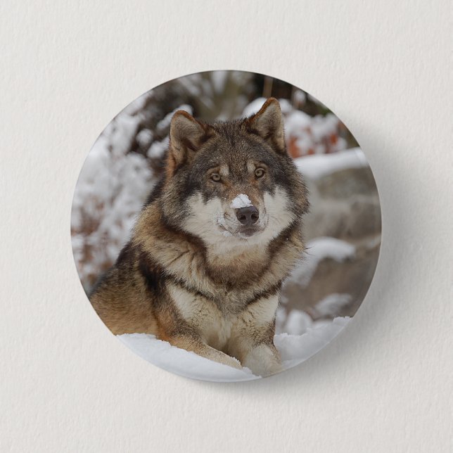 Winter Wolf 2 Inch Round Button (Front)