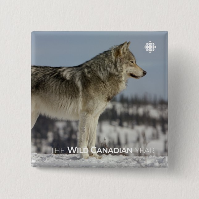 Winter - Wolf 2 Inch Square Button (Front)