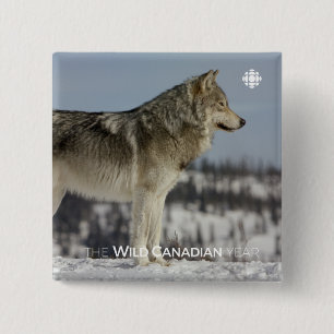 Winter - Wolf 2 Inch Square Button
