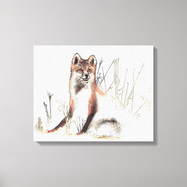 Winter Wolf Canvas Print (Front)