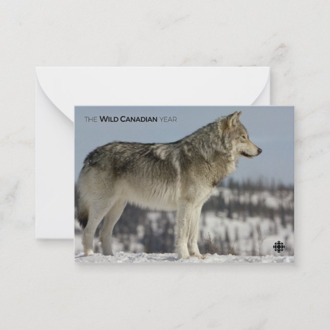 Winter - Wolf Card (Front)