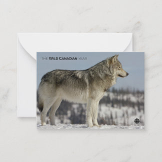 Winter - Wolf Card
