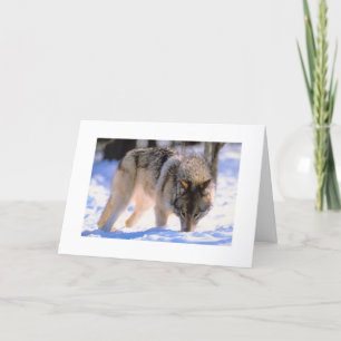 Winter Wolf Christmas Snow Holiday Card