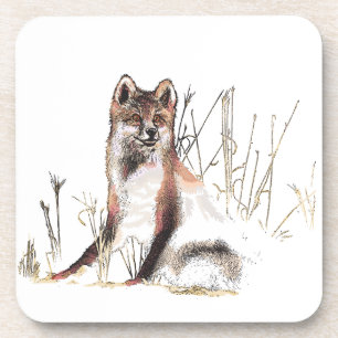 Winter Wolf Coaster