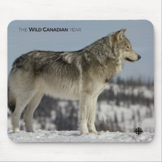 Winter - Wolf Mouse Pad