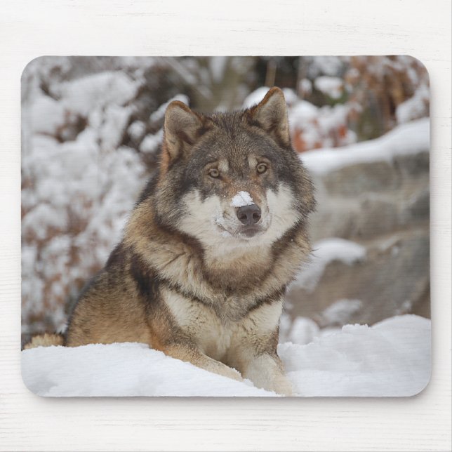 Winter Wolf Mouse Pad (Front)