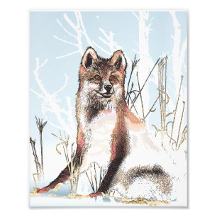 Winter Wolf Photo Print