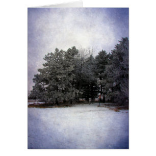 Winter Wonderland