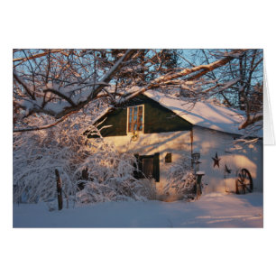 Winter Wonderland