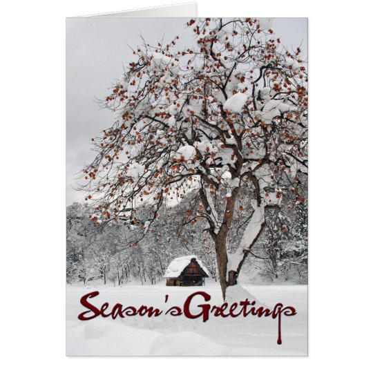 Winter Wonderland 2 (Season's Greetings) Card