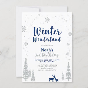 Winter Wonderland 3e Boy Birthday Invitation