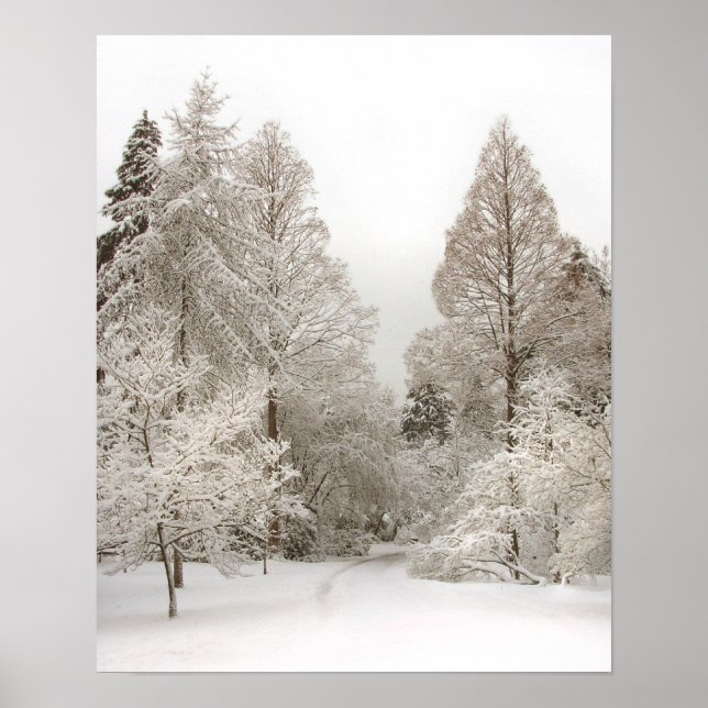 Winter Wonderland Art Print Winter Forest Poster (Devant)