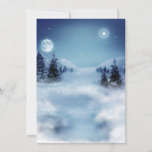 Winter Wonderland at Night