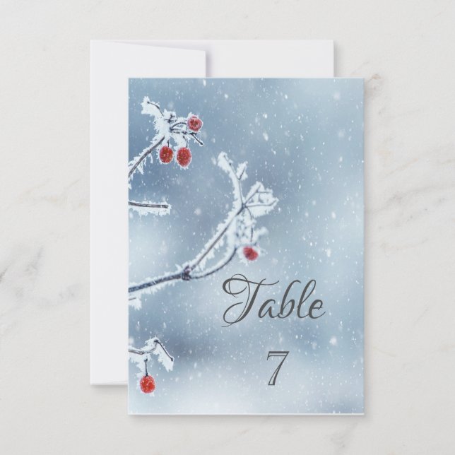 Winter Wonderland Branches Blue Invitation (Front)