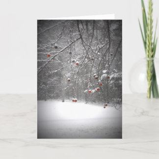 Winter Wonderland Card
