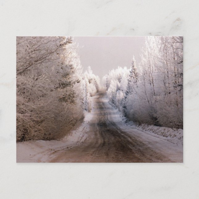 Winter Wonderland - Carte postale (Devant)