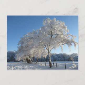 Winter Wonderland: Cheshire Postcard