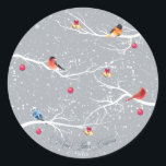 Winter Wonderland Christmas Holidays Classic Round Sticker<br><div class="desc">Lovely winter scene with white branches,  colourful birds,  falling snow and beautiful Christmas decorations.
Beautiful winter scenery with birds in yellow,  orange,  blue and red,  Christmas bauble ornaments and Christmas bells.
Personalize by changing the text.</div>