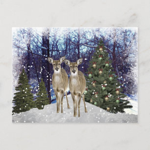 Winter Wonderland Deer and Christmas Tree Postcard