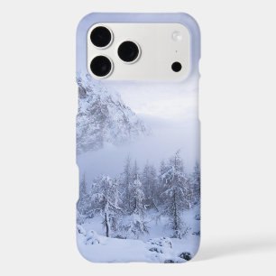 Winter wonderland, fog, spruce forest and mountain