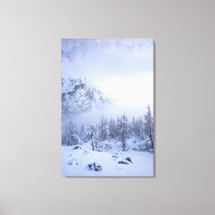 Winter wonderland, fog, spruce forest and mountain canvas print