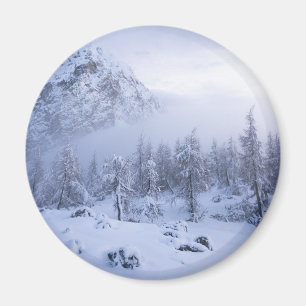 Winter wonderland, fog, spruce forest and mountain magnet