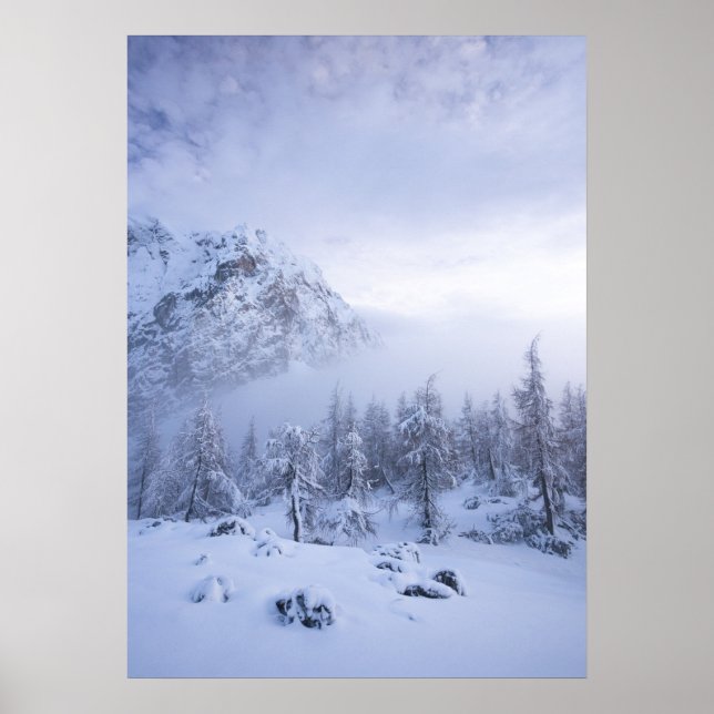 Winter wonderland, fog, spruce forest and mountain poster (Front)