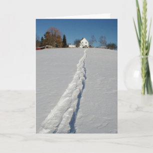 Winter Wonderland Holiday Card