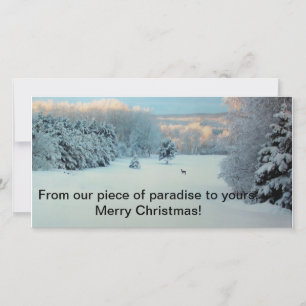 Winter Wonderland Holiday Card