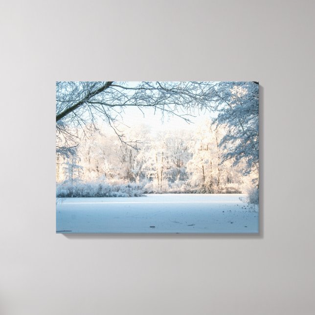 Winter Wonderland Landscape Photo Canvas Print (Front)