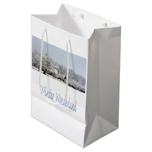 winter wonderland medium gift bag (Front Angled)