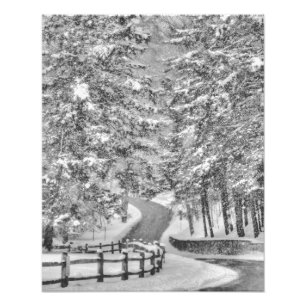 Winter Wonderland Photo agrandissement
