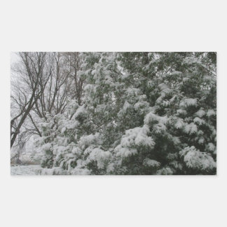 Winter Wonderland Pine Tree with Snow Fall Sticker