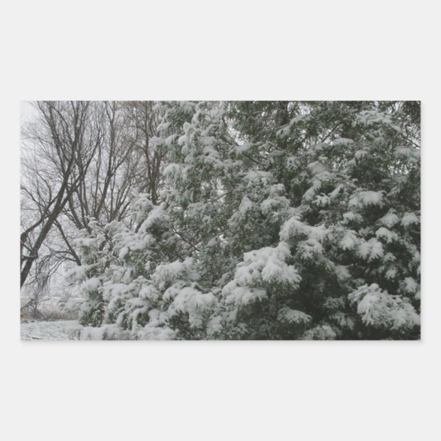 Winter Wonderland Pine Tree with Snow Fall Sticker (Front)