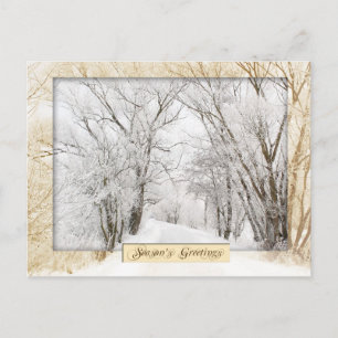 Winter Wonderland Postcard