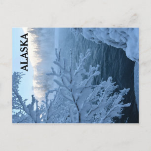 Winter Wonderland Postcard