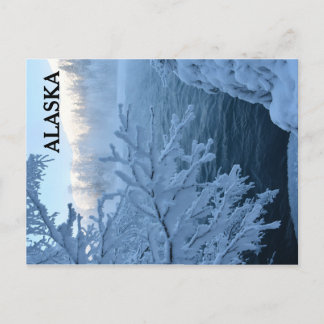 Winter Wonderland Postcard