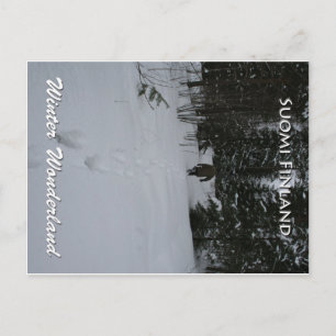 Winter Wonderland Postcard